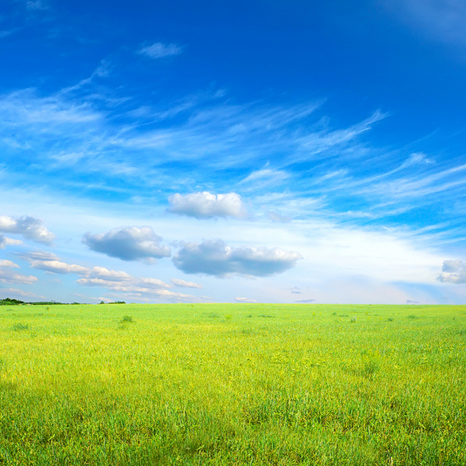 大草原風景高清素材 主圖 大草原 攝影 .