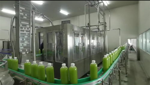 加快建設名城之花競相綻放，共話發展躊躇滿志未來已來