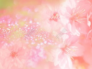 免費(fèi)下載 編號14408959的高清背景花素材模板，JPG格式，1600像素