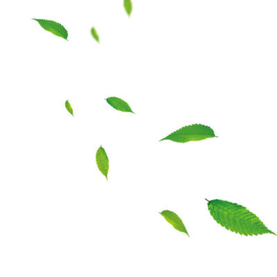 飄落的葉子 自然賦予的創作靈感